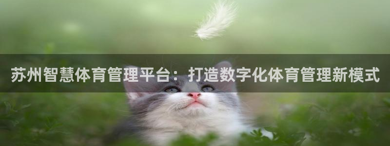 必一体育登录APP下载：苏州智慧体育管理平台：打造数字化体育