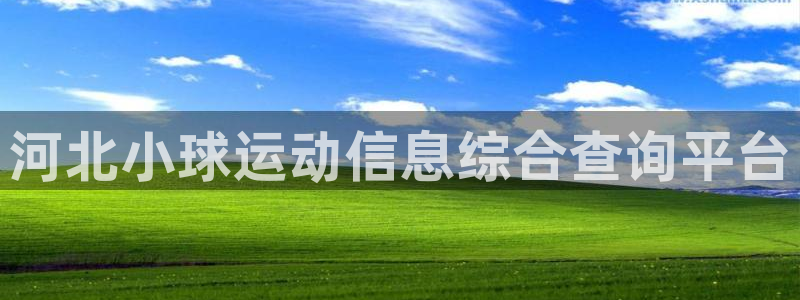 必一体育电子app：